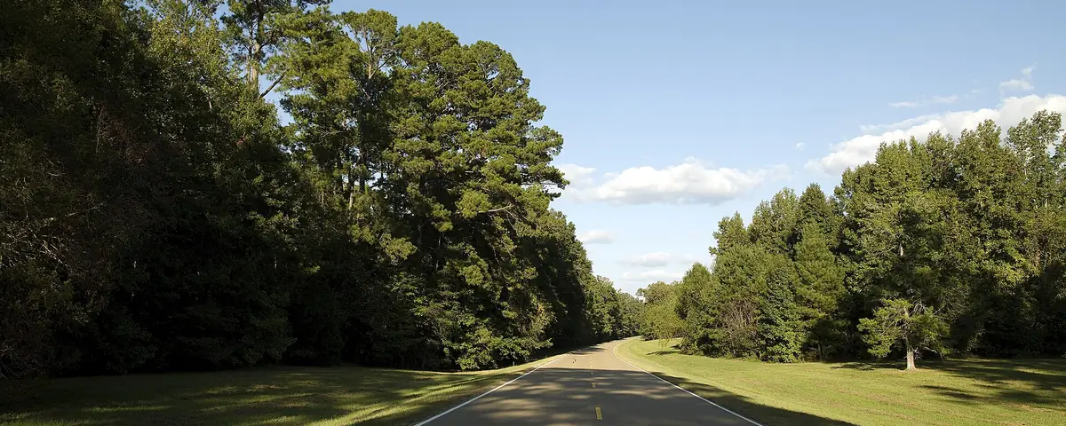 Mississippi: Natchez Trace Parkway, Mississippi MEDIUM: 1 photograph : digital, TIFF file, color. NOTES: The 444-mile Natchez Trace Parkway commemorates