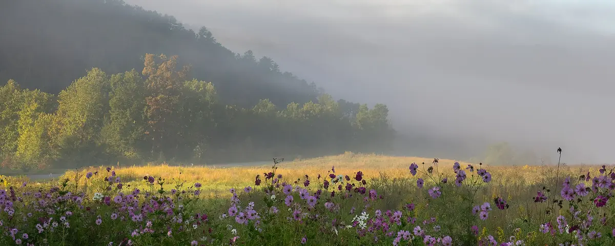 Tennessee: Meadow in the Great Smoky Mountains in Tennessee, with the namesake "smoke"